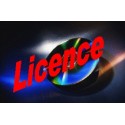 Licence 2 SIP-trunk 8000